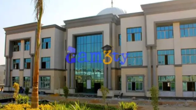 الجامعات الأهلية في مصر