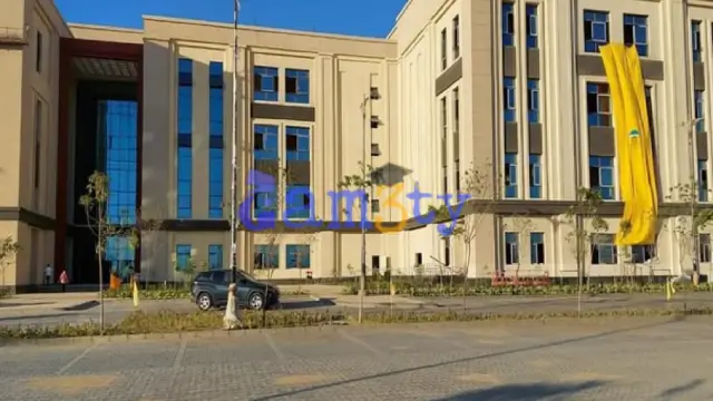 تنسيق ومصروفات جامعة المنصورة الجديدة