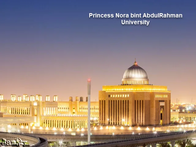 ترتيب الجامعات العربية في الهندسة