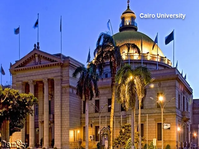 ترتيب الجامعات العربية في الهندسة