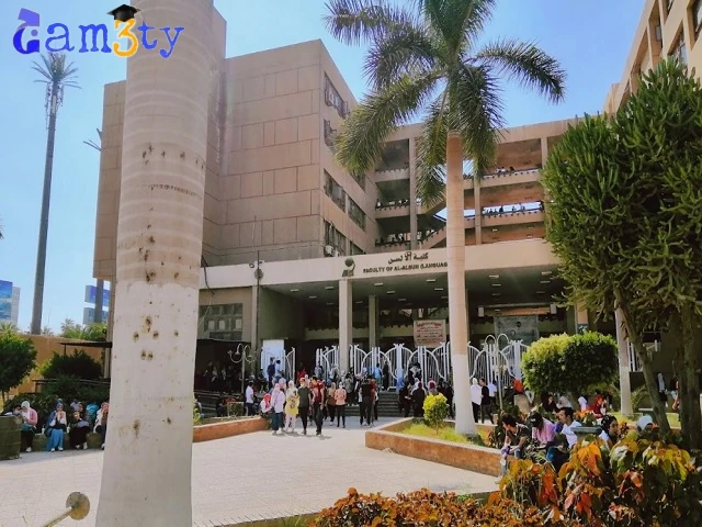 تنسيق كلية ألسن