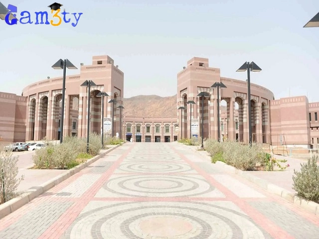 ايميل جامعة طيبه