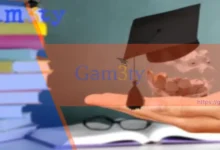 المنح التركية