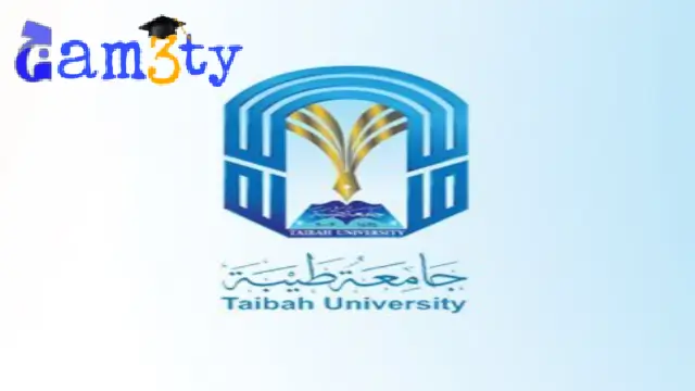 جامعة طيبة