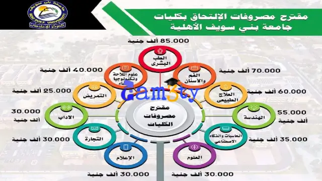 مصاريف جامعة بني سويف الأهلية 2024