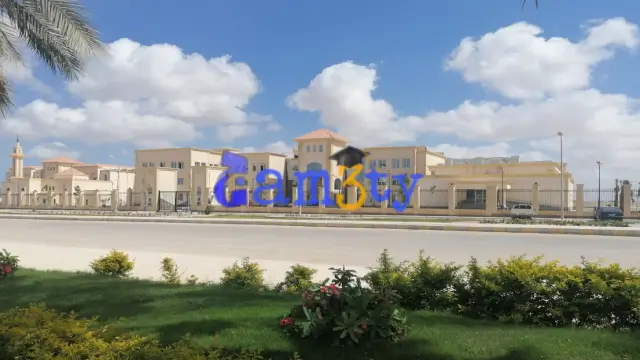 جامعة برج العرب التكنولوجية