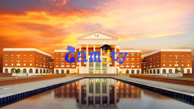 رسوم كلية البترجي