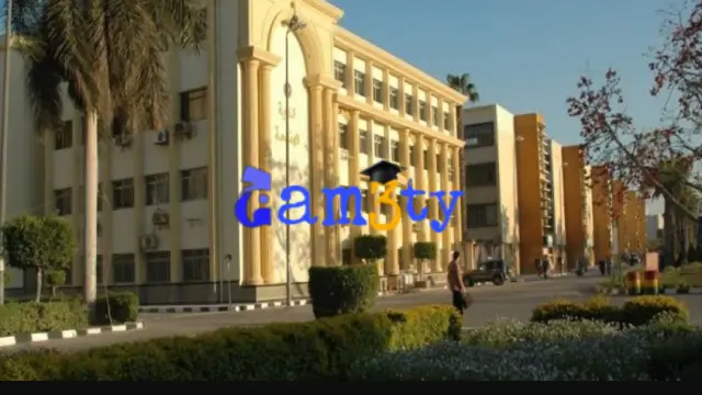 جامعة الطائف