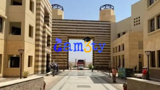 مصاريف وتنسيق جامعة جنوب الوادي الأهلية 2025