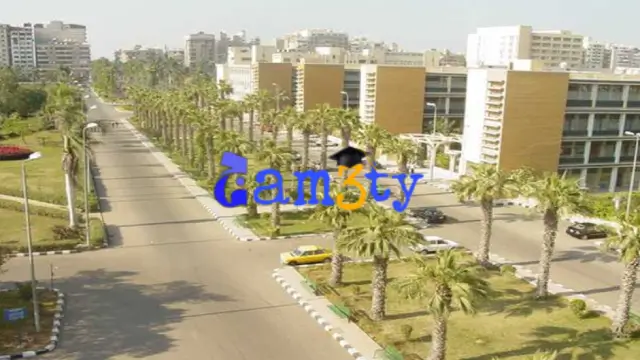  الجامعة الأمريكية ضمن جامعات مصر المعتمدة في السعودية، جامعة المنصورة