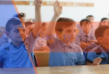 المراحل الدراسية المبكرة
