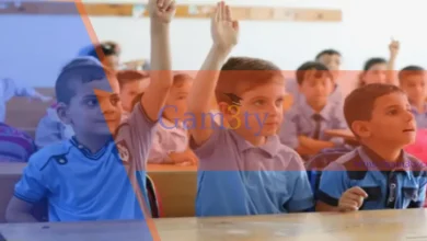المراحل الدراسية المبكرة